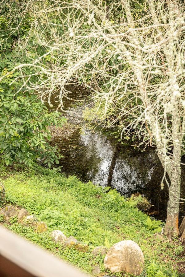 Lugar Del Rio Vendégház Couzadoiro Kültér fotó